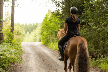 Icelandic horse with female rider on saddle. Rider wearing helmet.