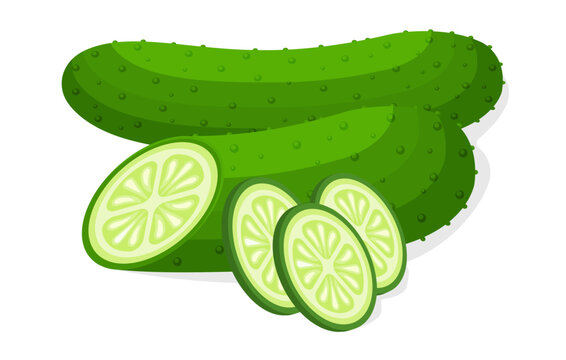 green cucumbers whole and sliced, food clip art preview