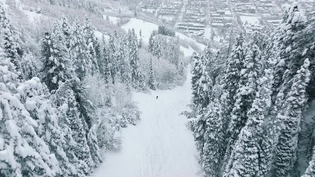 Amazing views on magical snowy fir trees on mountain covered with fresh snow. Cinematic aerial skiing on winter vacation. Aspen town panorama skiing of two ski professionals in Colorado mountains