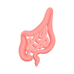 Isometric Intestines Illustration