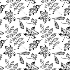 Fototapeta premium Autumn leaf seamless pattern. Hand drawn backdrop. Thanksgiving background. Fall design for wrapping paper or fabrics and other