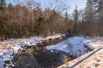 creek in Winter