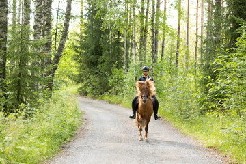 Icelandic horse with female rider on saddle. Rider wearing helmet.