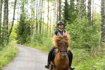 Icelandic horse with female rider on saddle. Rider wearing helmet.