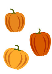 Pumpkins different types autumn png