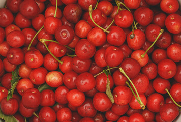 lot of cherries