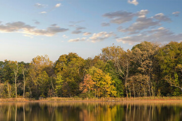 Autumn Landscape with Lake and Trees