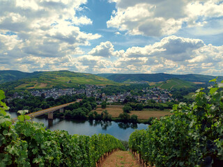Fototapeta na wymiar Blick auf Mülheim an der Mosel und den Fluß Mosel von Weinbergen bei Lieser auf der gegenüberliegenden Moselseite.