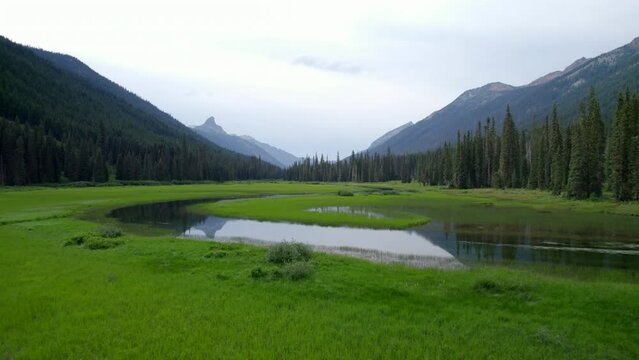 Okanogan-Wenatchee National Forest C7.2