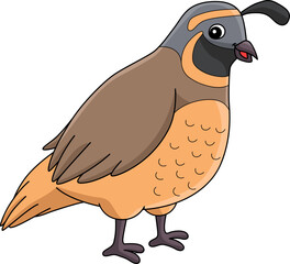 Quail Animal Cartoon Colored Clipart Illustration