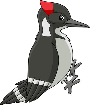recommend clip art: Woodpecker Bird Animal Cartoon Colored Clipart