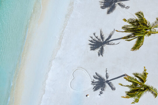 Aerial view of palm trees on tropical beach