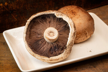 Freshly harvested portabella mushrooms on a white plate
