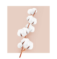 Realistic cotton branch on color background. Vector illustration. Great for your design. EPS10.	