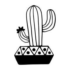 Linear sketch of a kaksuta in a flower pot. Stylized vector graphics.