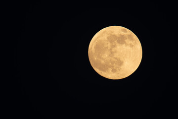 Super moon, full, in the starry sky.