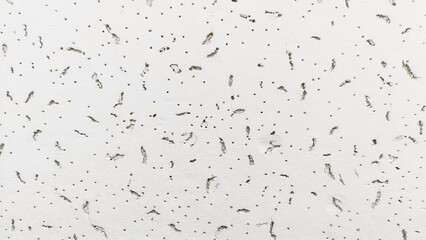 rough white wall background texture beautiful abstract polka dots