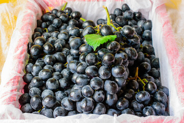 Black grapes candied fruit in white packaging.