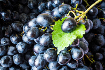 black grapes candied fruit close-up