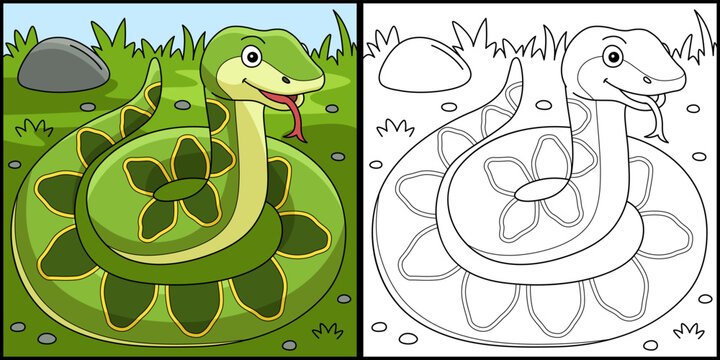Viper Animal Coloring Page Colored Illustration