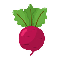 Radish icon.