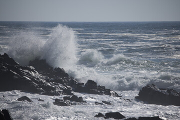 Ocean waves splashing on a rocky shore