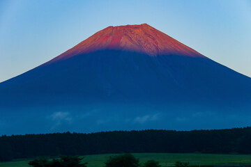 朝霧高原から　夕日に映える赤富士の絶景　静岡県富士宮市　日本