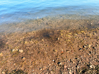 clear riverbed water blue shore waves water edge ocean sea beach current shoreline