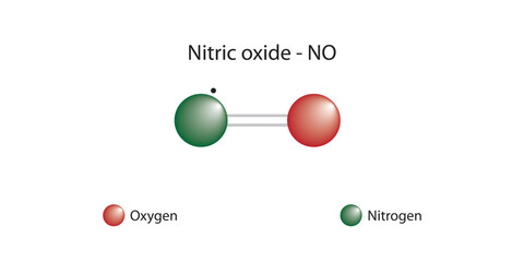 Molecular formula and chemical structure of nitric oxide - obrazy, fototapety, plakaty