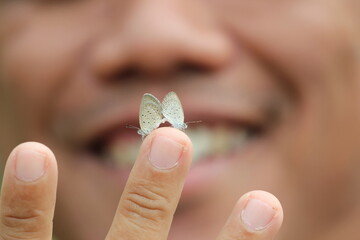 butterfly mating on human finger