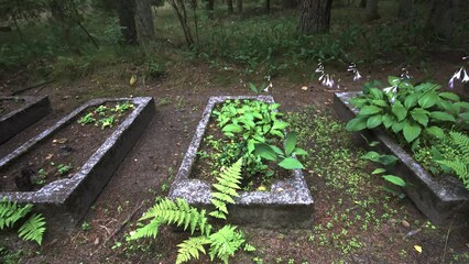 Abandoned Overgrown Burial Graveyard in Lithuania Forest, Europe