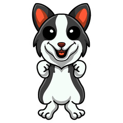 Obraz premium Cute border collie dog cartoon standing