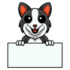 Cute border collie dog cartoon holding blank sign
