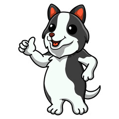 Cute border collie dog cartoon giving thumb up