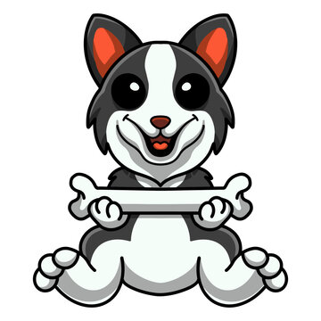 Cute border collie dog cartoon holding a bone