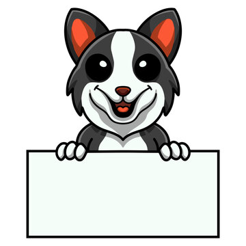 Cute border collie dog cartoon holding blank sign