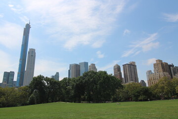 Fototapeta premium Central Park