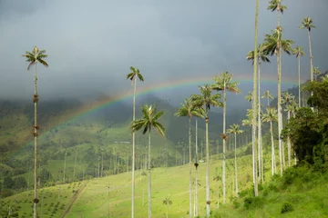 Fotobehang Paisaje en eje cafetero Colombia valle del cocora arcoiris  © Lida