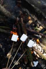 Marshmallow on a stick at the stake. Fried marshmallows. Picnic in the nature. Marshmallows on a background of fire. - 525962009