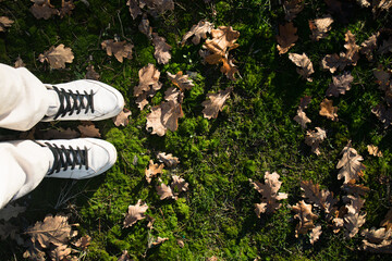 Obraz premium feet in white sneakers on green grass with autumn oak leaves. View from above. copy space