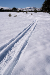 Fototapeta na wymiar View of snowmobile tracks in the mountain snow field, in winter.