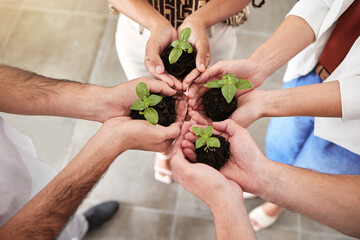 Hands, plant and sustainability in a group of people together in a circle or huddle. Community...