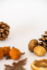 Fall flat lay with pinecones and dried leaves
