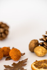 Fall items with white copy space