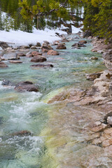 mountain river in the forest