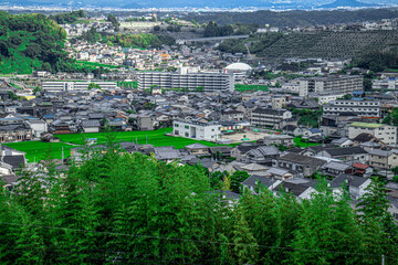 Obraz premium 自然溢れる町