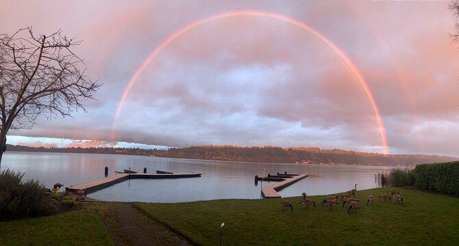 Lake Sammamish