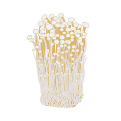 えのき茸のイラスト