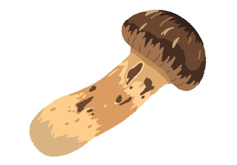 松茸のイラスト