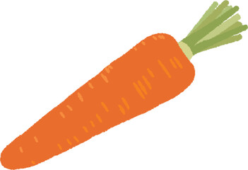 人参のイラスト